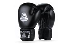 Boxerské rukavice DBX BUSHIDO ARB-Black 10 oz