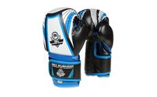 Boxerské rukavice DBX BUSHIDO ARB407v1 6 oz.