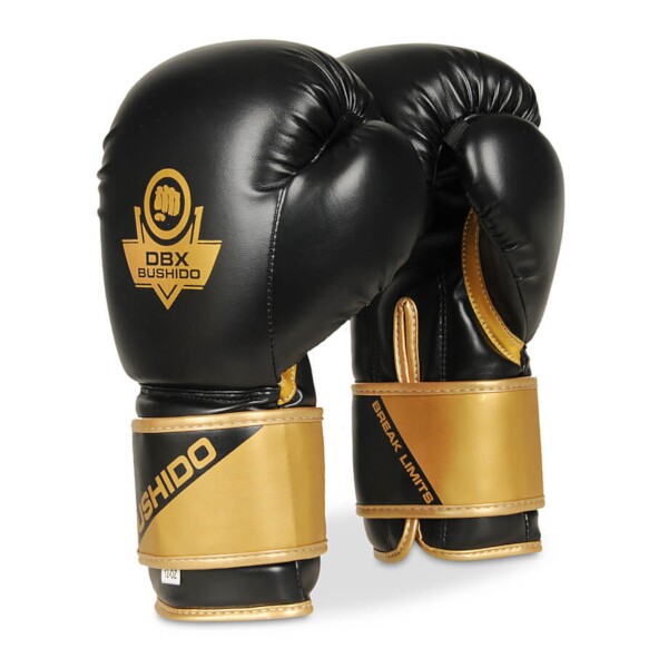 Boxerské rukavice DBX BUSHIDO B-2v10 14 oz Boxerské rukavice DBX BUSHIDO B-2v10 14 oz