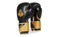 Boxerské rukavice DBX BUSHIDO B-2v10 14 oz