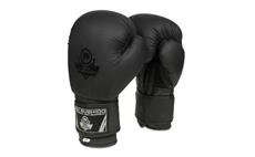 Boxerské rukavice DBX BUSHIDO B-2v12 10 oz