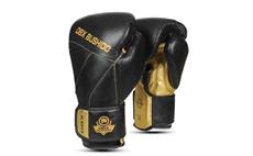 Boxerské rukavice DBX BUSHIDO B-2v14 12 oz