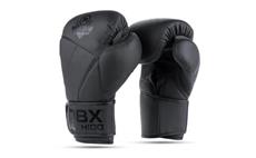 Boxerské rukavice DBX BUSHIDO B-2v15B 10 oz