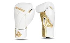 Boxerské rukavice DBX BUSHIDO B-2v19 12 oz
