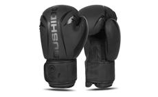 Boxerské rukavice DBX BUSHIDO B-2v22 10 oz