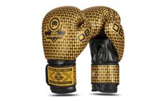 Boxerské rukavice DBX BUSHIDO B-2v23 10 oz