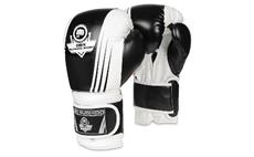 Boxerské rukavice DBX BUSHIDO B-2v3A 12 oz