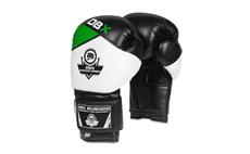 Boxerské rukavice DBX BUSHIDO B-2v6 14 oz
