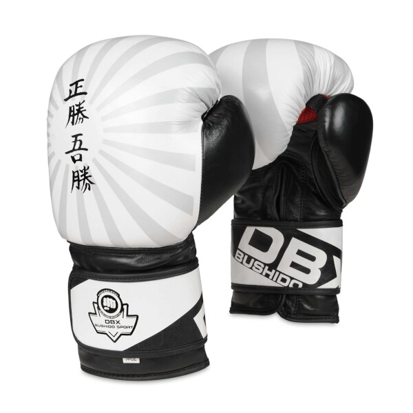 Boxerské rukavice DBX BUSHIDO B-2v8 12 oz Boxerské rukavice DBX BUSHIDO B-2v8 12 oz