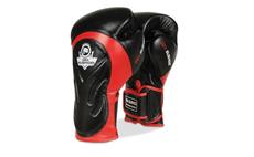 Boxerské rukavice DBX BUSHIDO BB4 10 oz