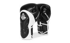 Boxerské rukavice DBX BUSHIDO BB5 12 oz
