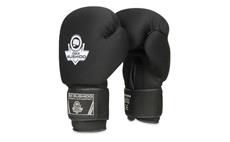 Boxerské rukavice DBX BUSHIDO DBX-B-W EverCLEAN 8 oz