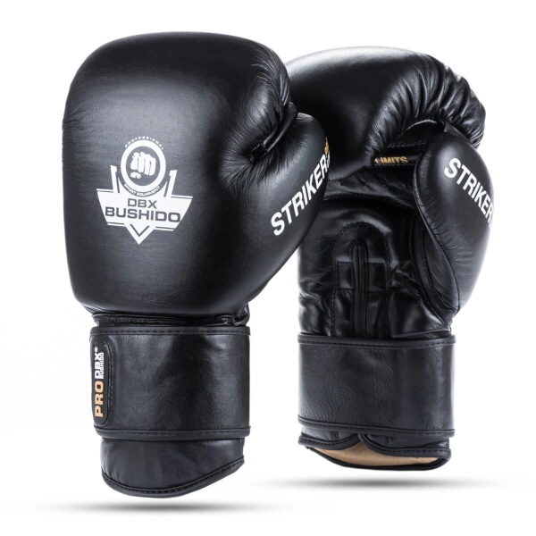 Boxerské rukavice DBX BUSHIDO Striker 10 oz Boxerské rukavice DBX BUSHIDO Striker 10 oz