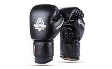 Boxerské rukavice DBX BUSHIDO Striker 10 oz