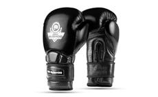 Boxerské rukavice DBX BUSHIDO Warrior BLACK 12 oz