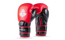 Boxerské rukavice DBX BUSHIDO Warrior RED 12 oz