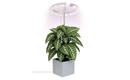 Pěstební lampa EMOS Z7902 LED GROW 8 W, časovač, stmívatelná, bílá