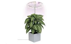 Pěstební lampa EMOS Z7902 LED GROW 8 W, časovač, stmívatelná, bílá
